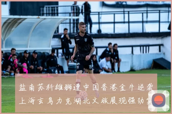 盐南苏科雄狮遭中国香港金牛逆袭上海玄鸟力克湖北文旅展现强劲实力
